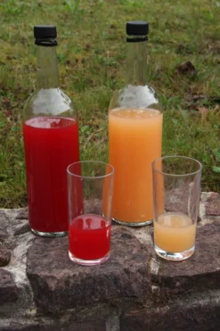 Rosette® Malus Domestica -Grüne Vielfalt Rosette Saft