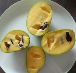 Neu eingetroffen -Grüne Vielfalt indianerbanane frucht aufgeschnittenmC83OjAvblbkD 1