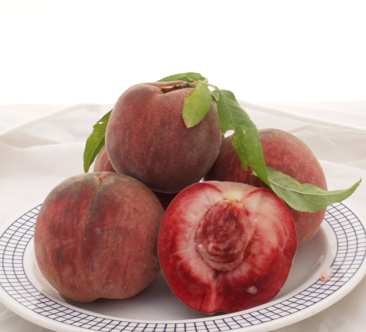 Säulen-Pfirsich `Ellora´ Prunus Persica `Ellora´ 1 Säulen-Pfirsich `Ellora´ Prunus Persica `Ellora´