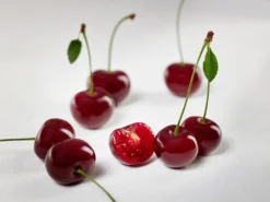 Achat Ⓢ Prunus Cerasus `Achat´ -Grüne Vielfalt sauerkirsche achat ggmc5Q8G1QL1D9