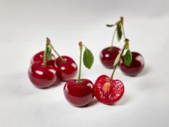 Safir ® Prunus Cerasus `Safir´ -Grüne Vielfalt sauerkirsche safir glCz99JjQsQ3RC